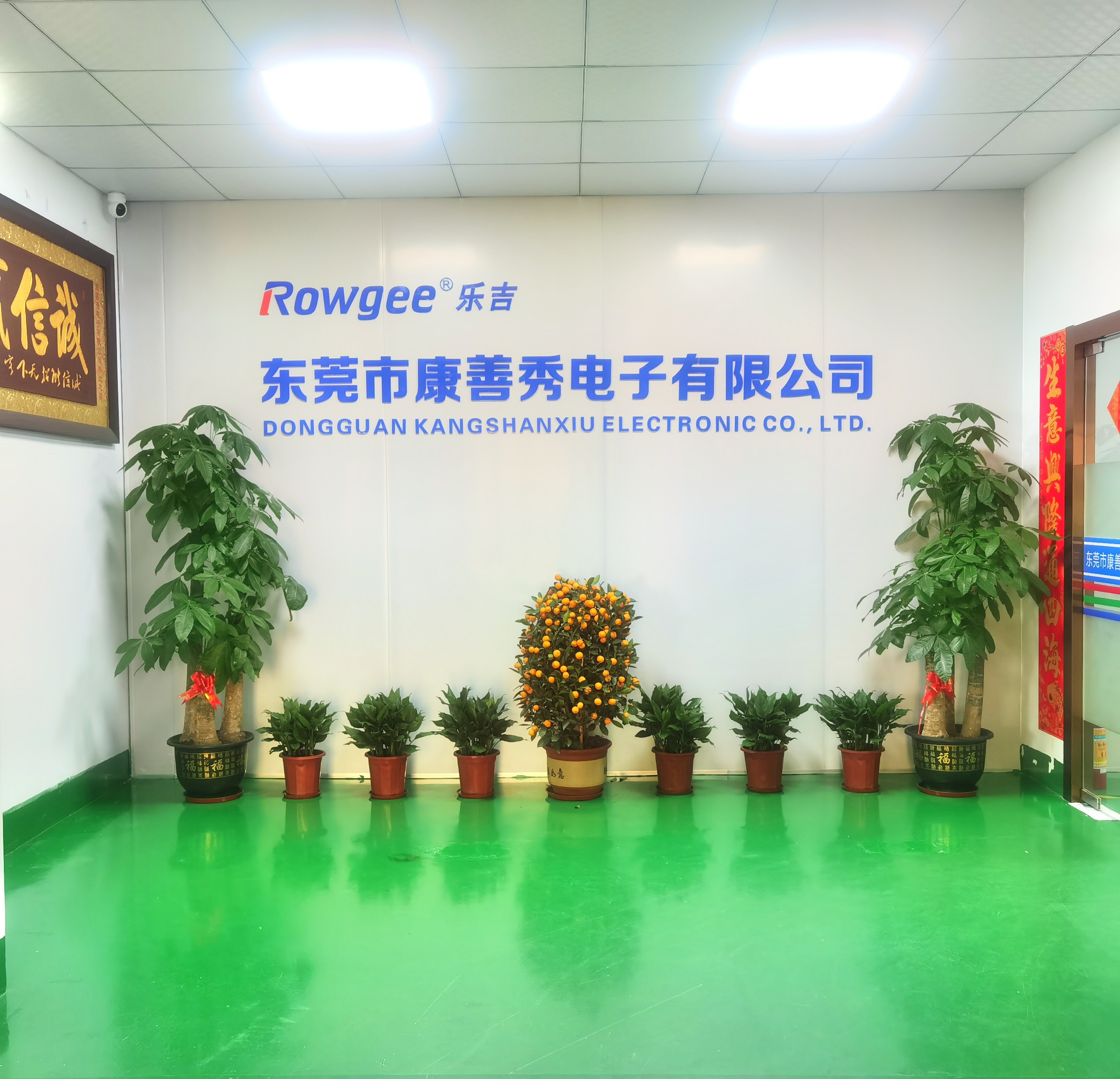 Çin Dongguan Kangshanxiu Electronic Co., Ltd. şirket Profili